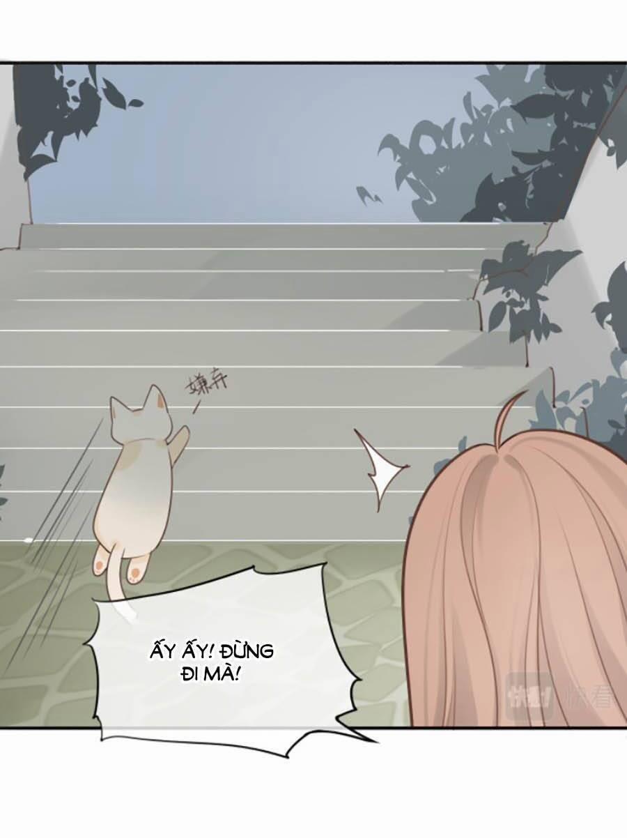 Tình Yêu Duy Nhất Của Tôi 16 trang 11