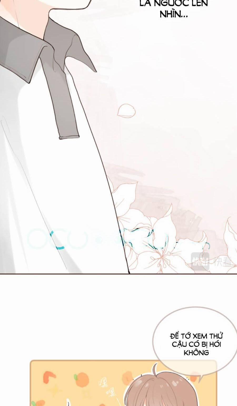 Tình Yêu Duy Nhất Của Tôi 16 trang 16