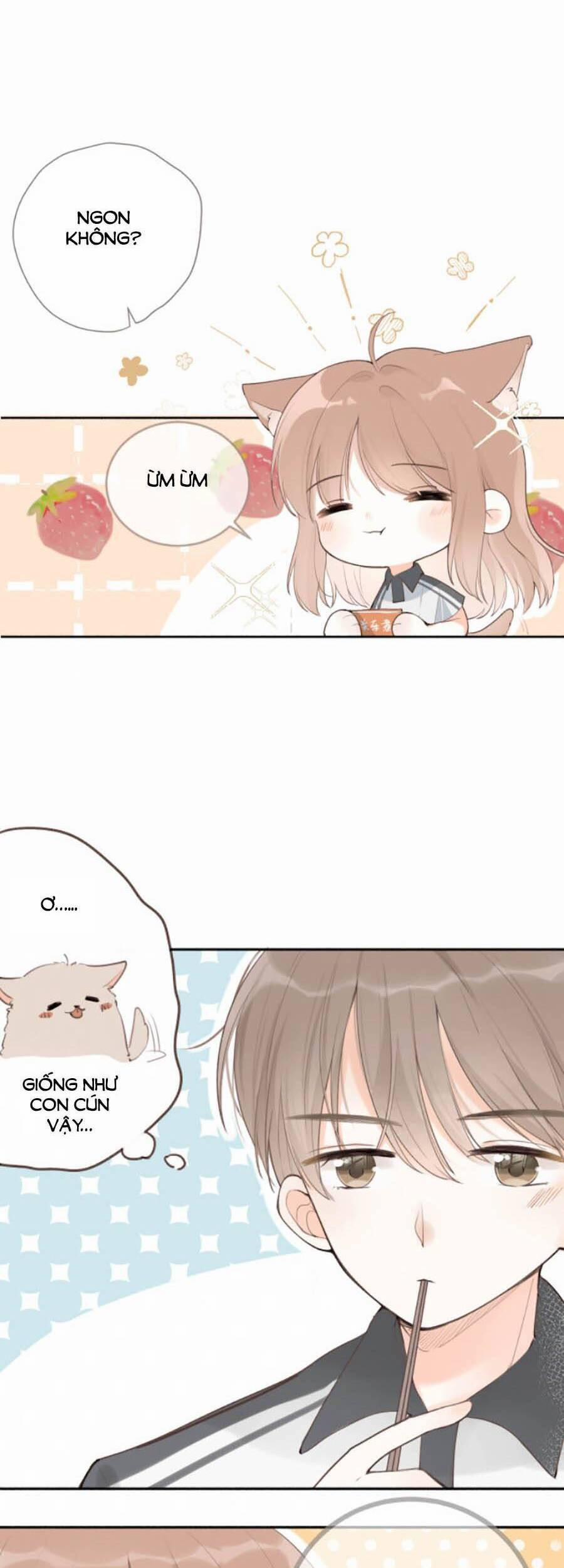 Tình Yêu Duy Nhất Của Tôi 16 trang 2