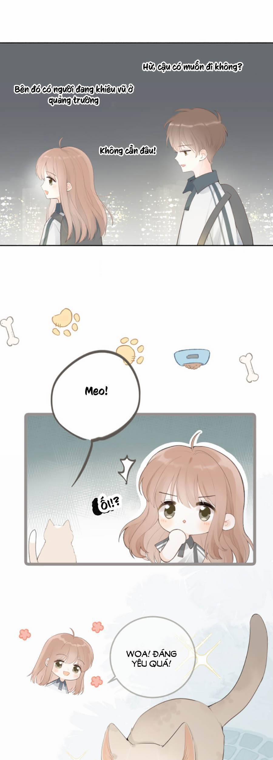 Tình Yêu Duy Nhất Của Tôi 16 trang 9