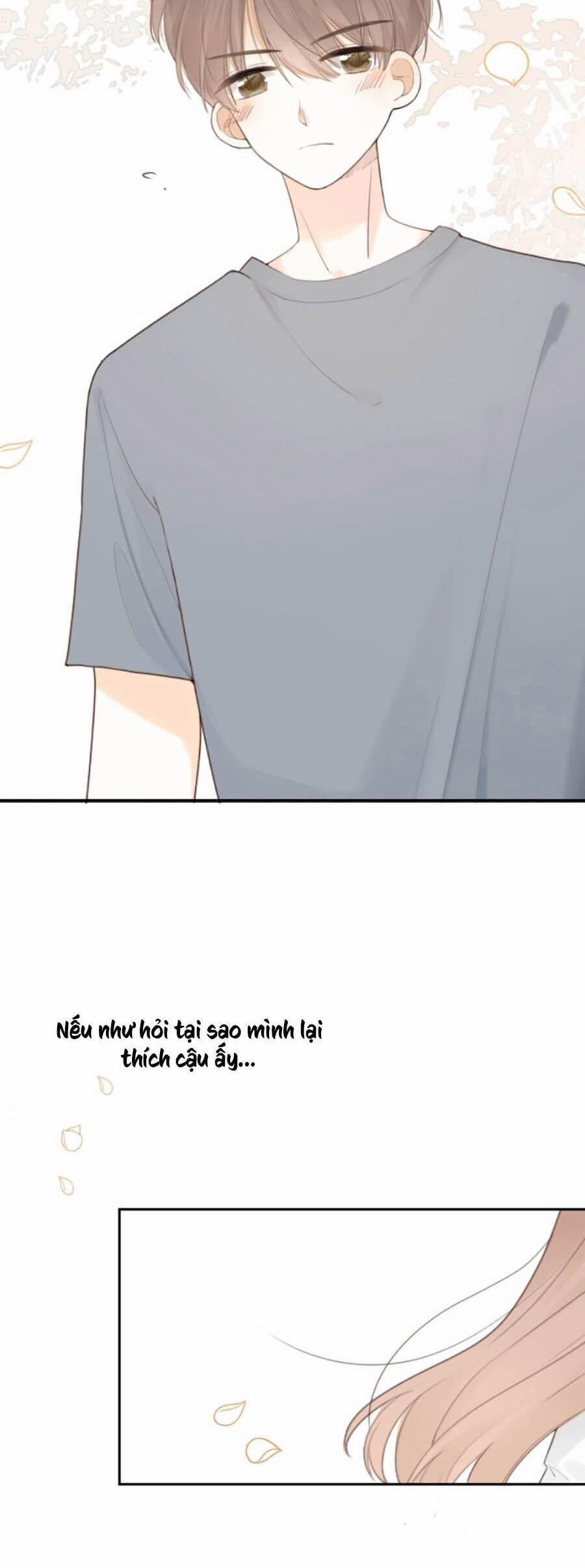 Tình Yêu Duy Nhất Của Tôi 17 trang 12