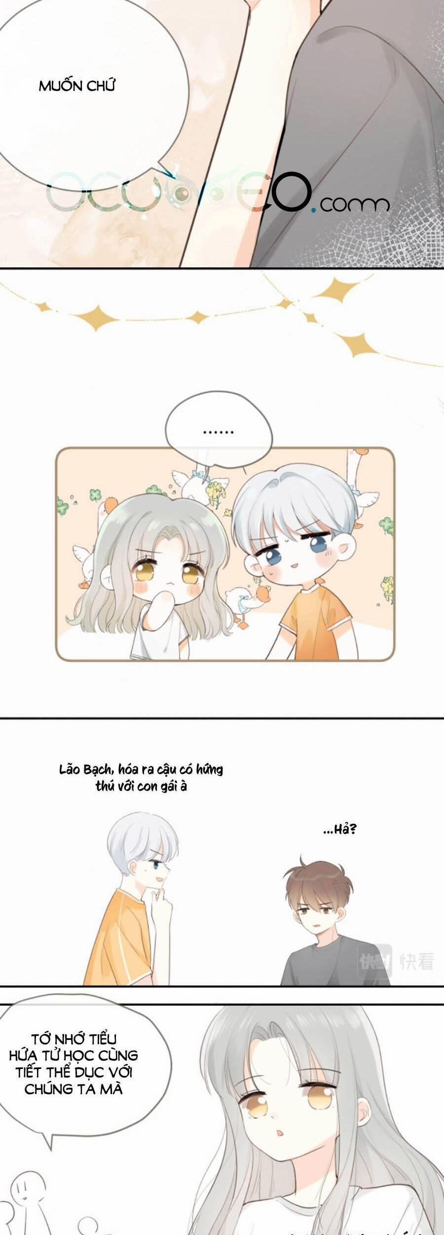 Tình Yêu Duy Nhất Của Tôi 18 trang 6