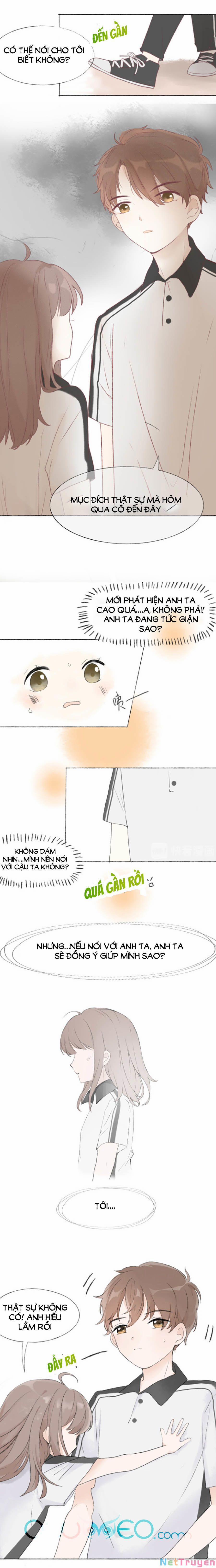 Tình Yêu Duy Nhất Của Tôi 2 trang 8