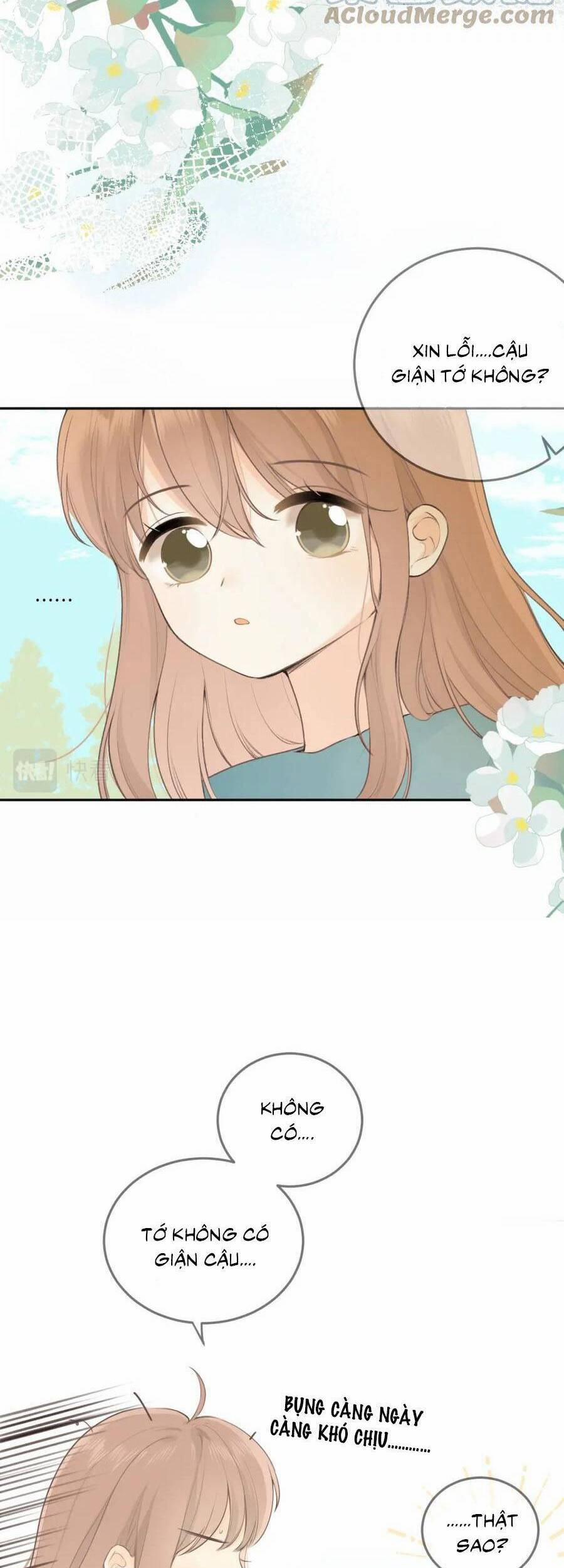 Tình Yêu Duy Nhất Của Tôi 24 trang 13