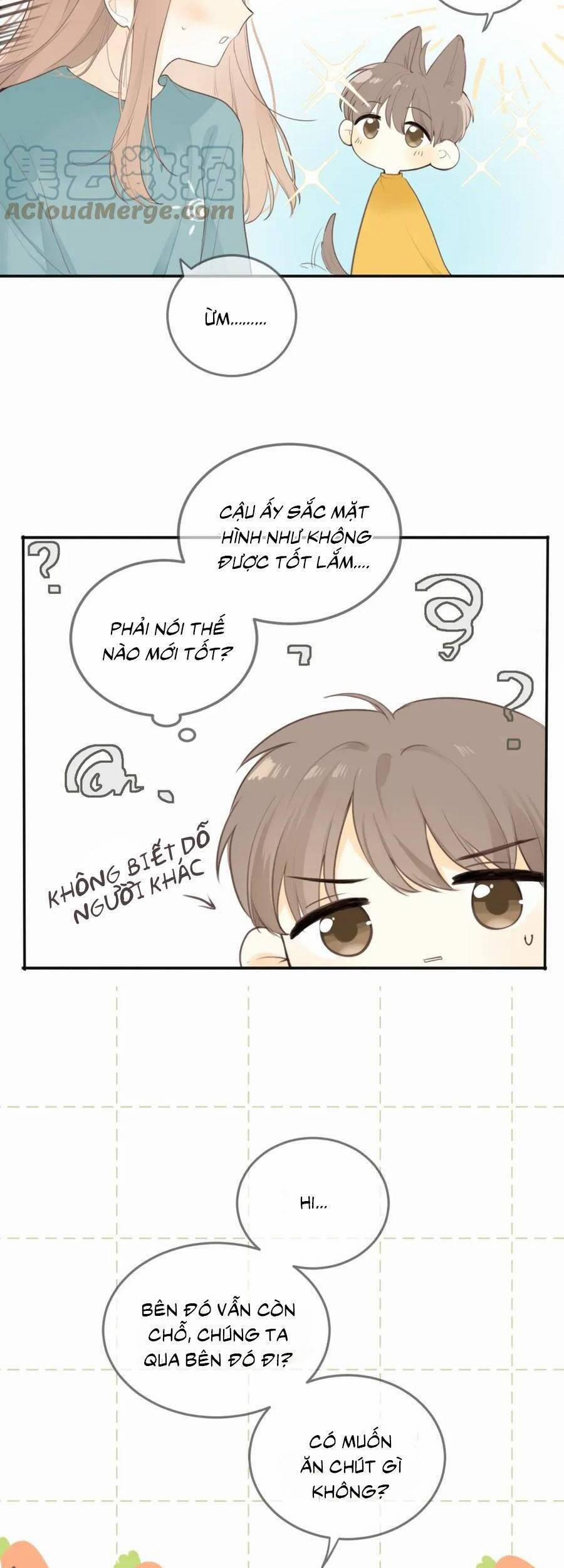 Tình Yêu Duy Nhất Của Tôi 24 trang 14