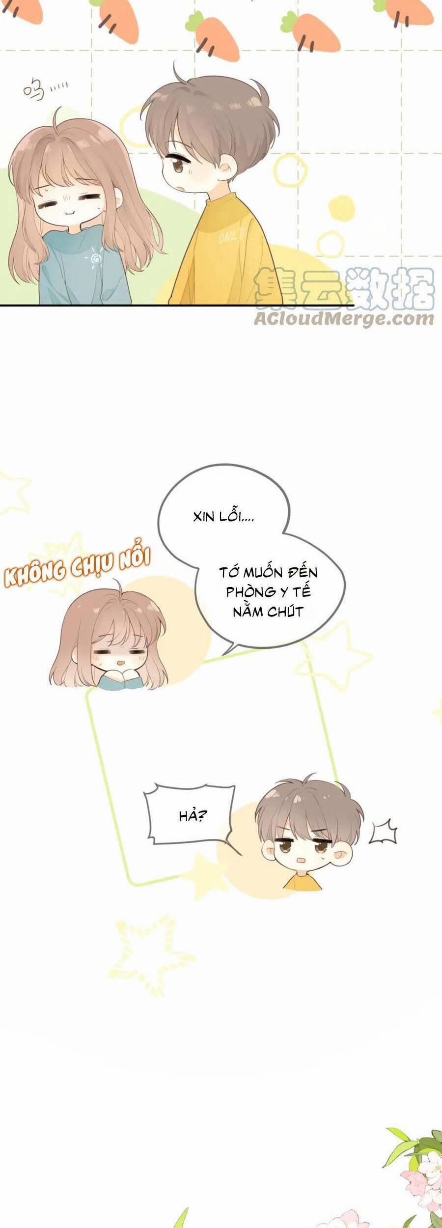 Tình Yêu Duy Nhất Của Tôi 24 trang 15