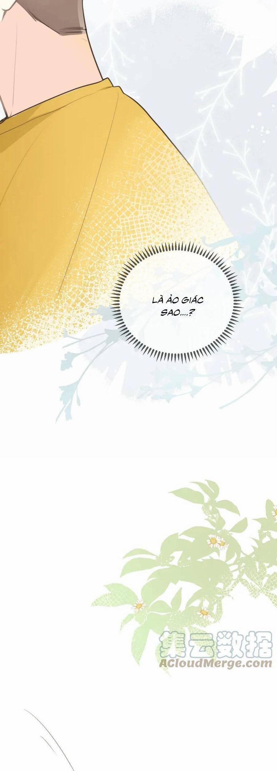 Tình Yêu Duy Nhất Của Tôi 24 trang 8