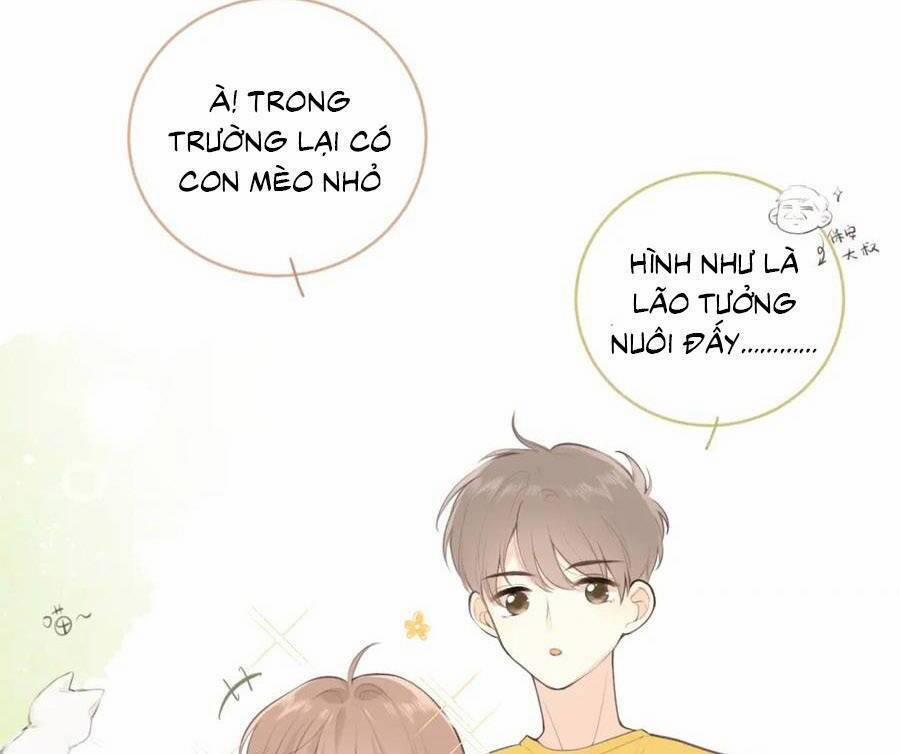 Tình Yêu Duy Nhất Của Tôi 25 trang 11