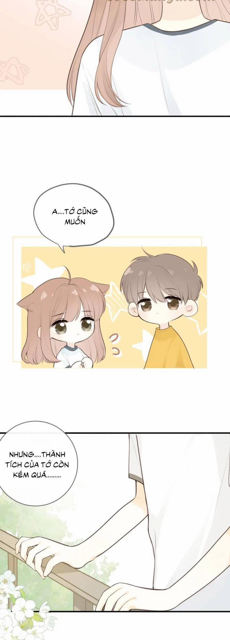 Tình Yêu Duy Nhất Của Tôi 25 trang 17