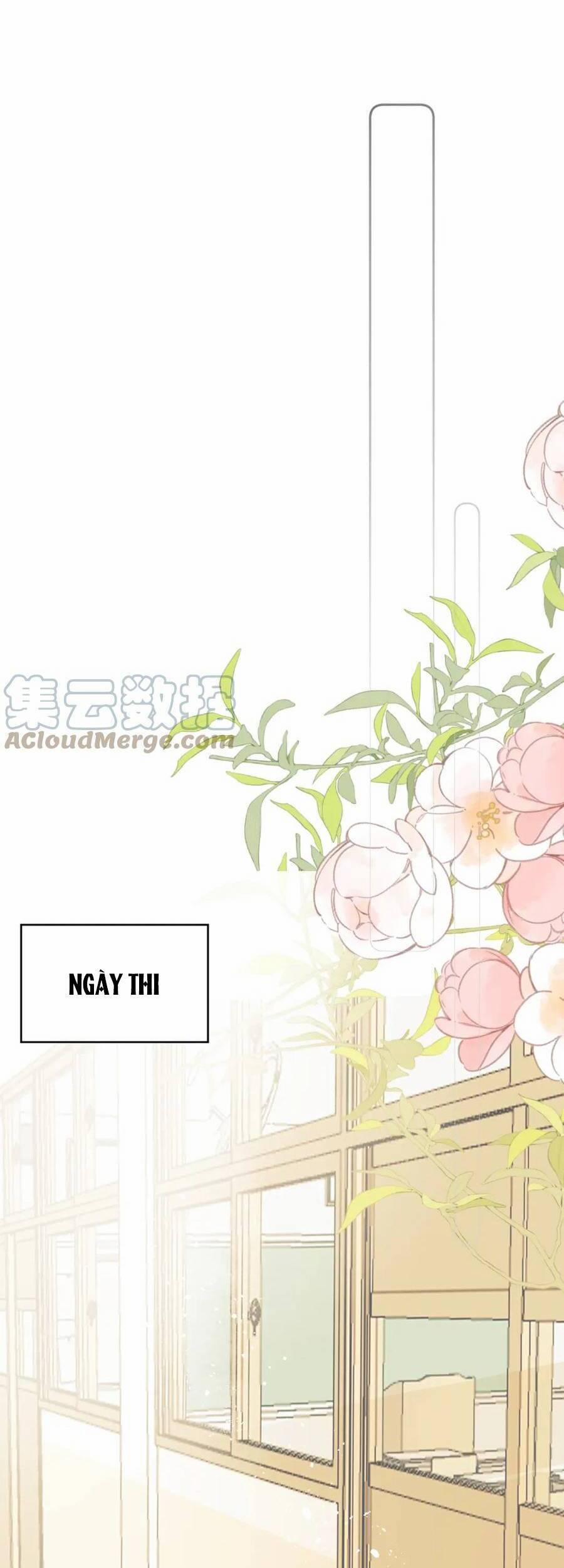 Tình Yêu Duy Nhất Của Tôi 26 trang 19