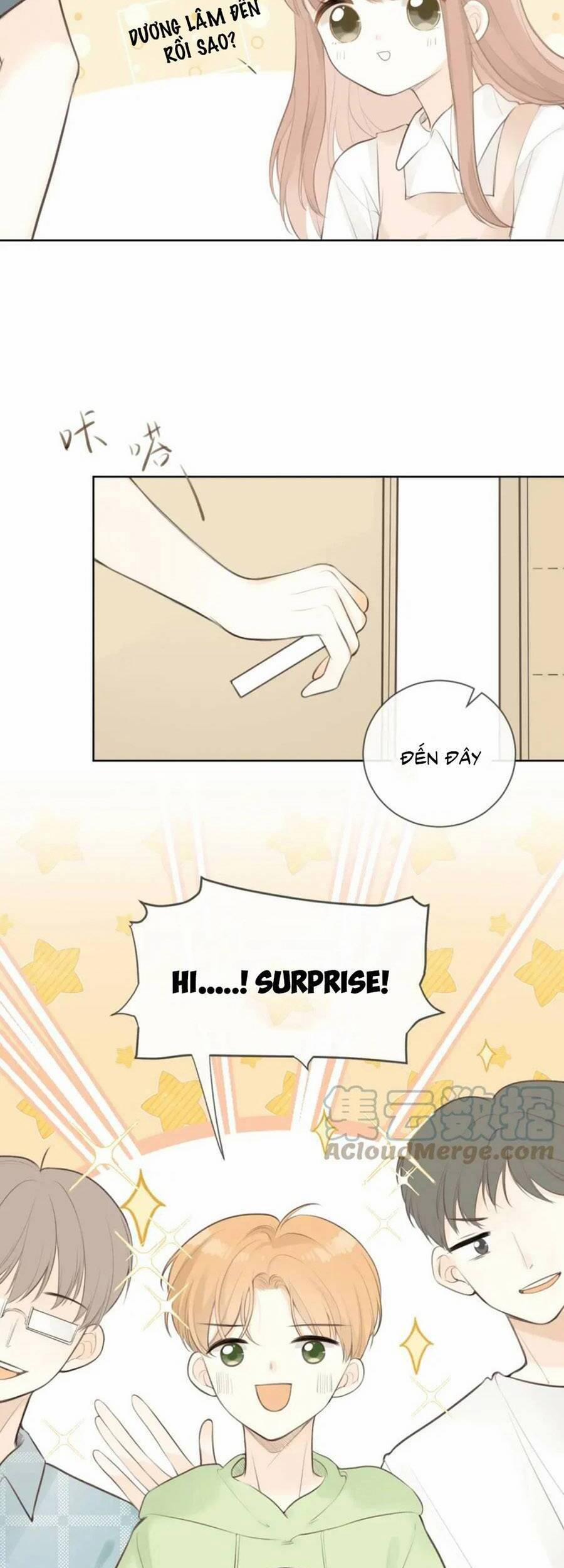 Tình Yêu Duy Nhất Của Tôi 28 trang 7