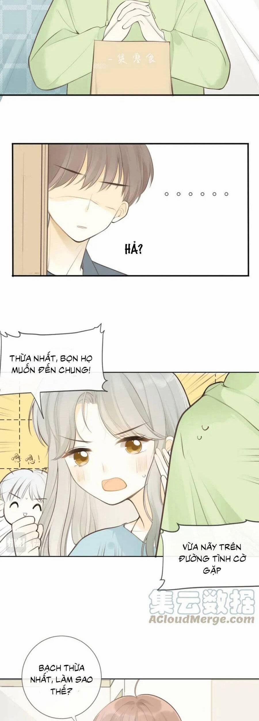 Tình Yêu Duy Nhất Của Tôi 28 trang 8