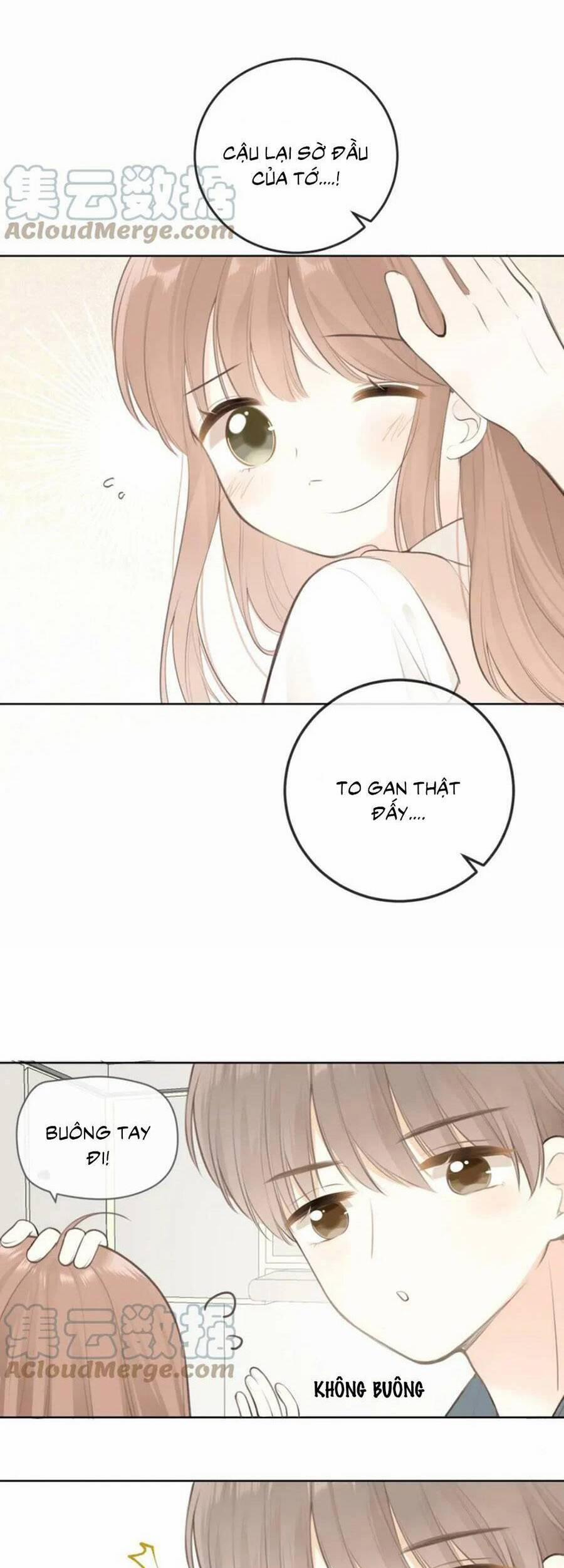 Tình Yêu Duy Nhất Của Tôi 29 trang 21