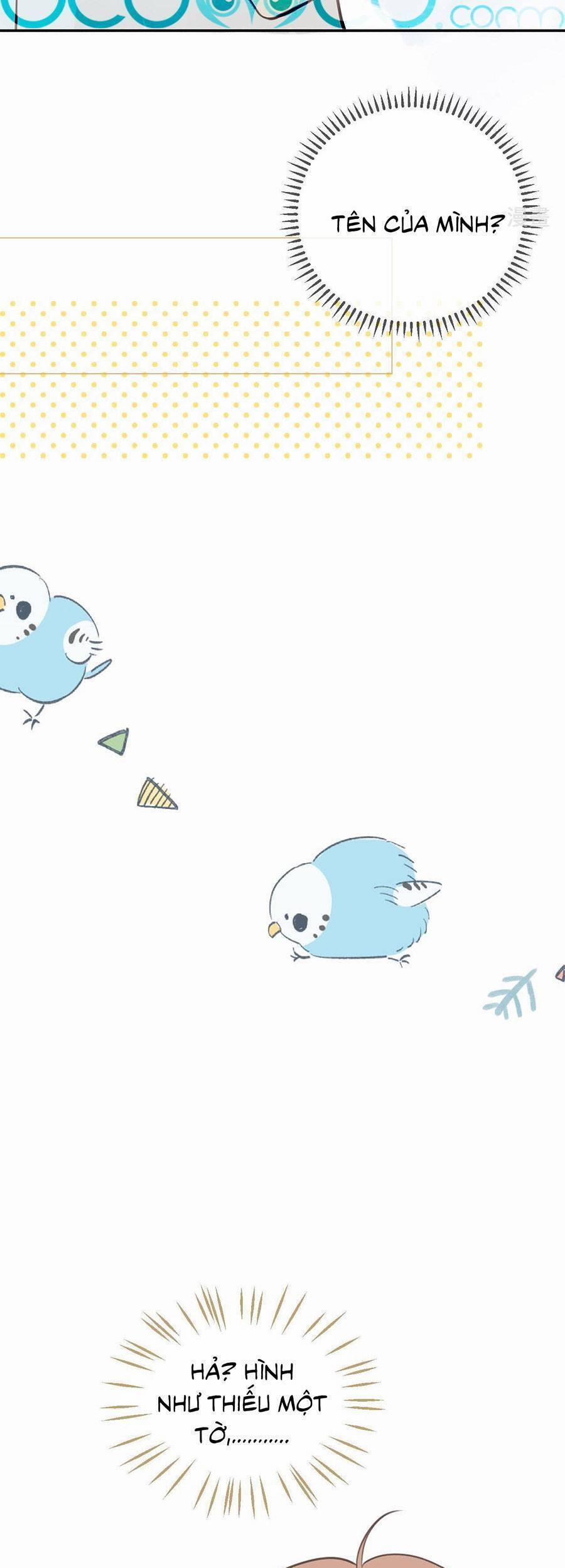 Tình Yêu Duy Nhất Của Tôi 30 trang 32