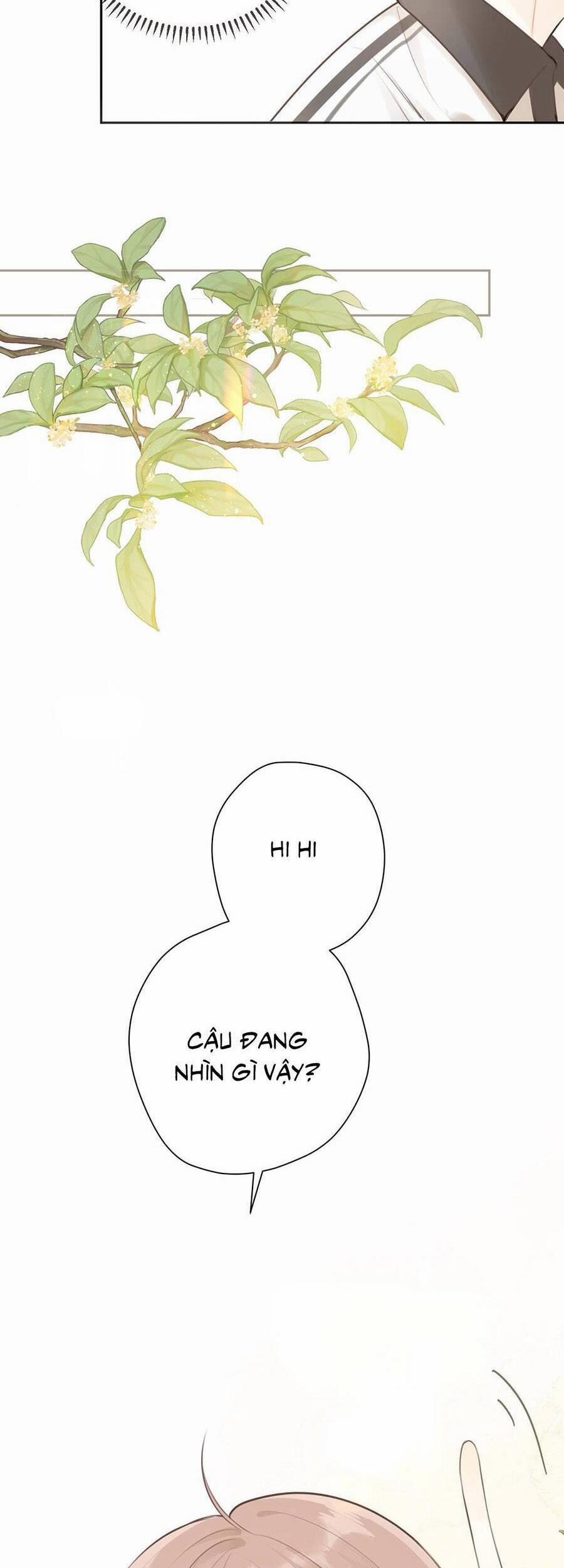 Tình Yêu Duy Nhất Của Tôi 31 trang 23