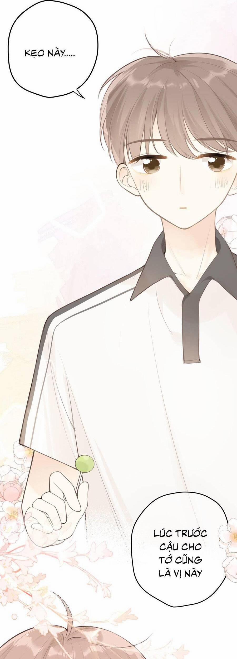 Tình Yêu Duy Nhất Của Tôi 31 trang 28