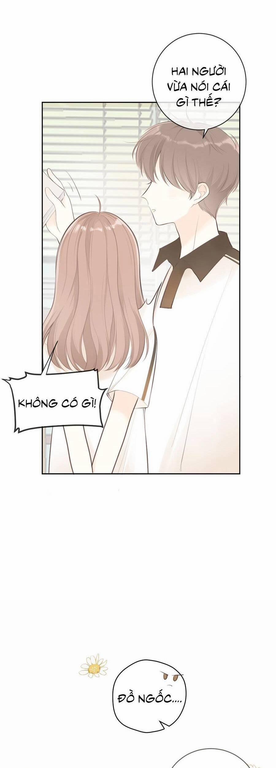 Tình Yêu Duy Nhất Của Tôi 31 trang 6