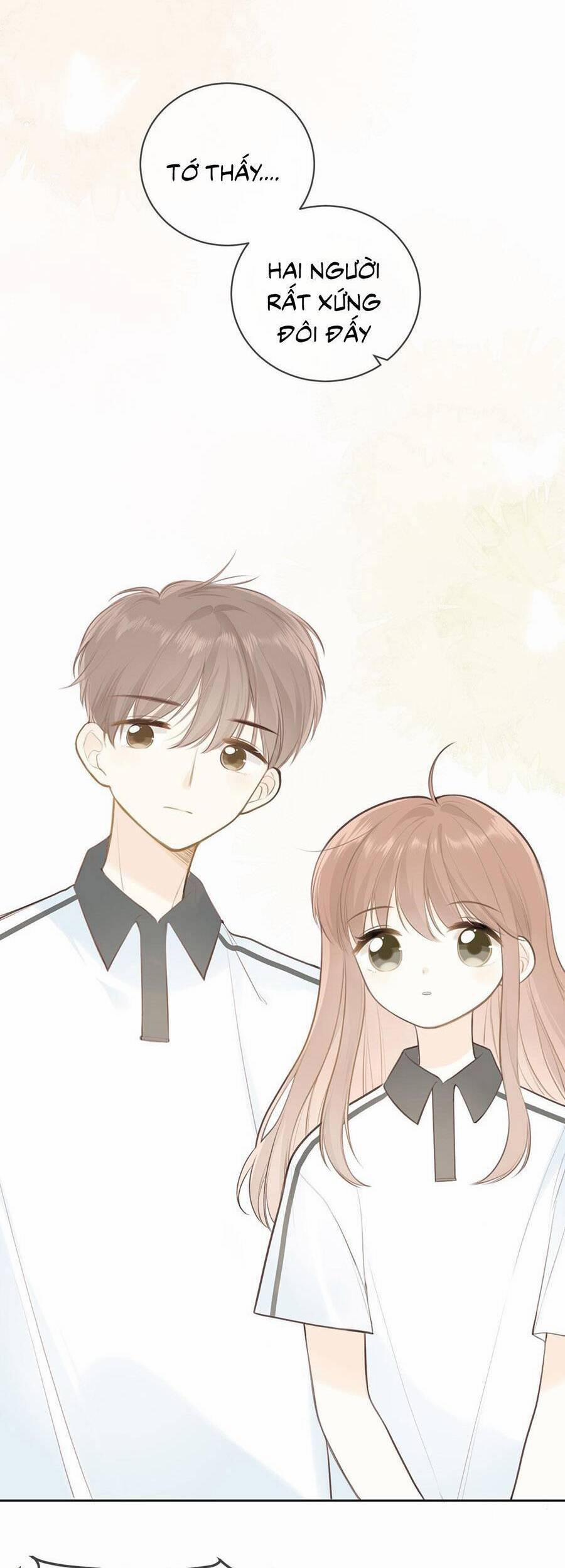 Tình Yêu Duy Nhất Của Tôi 31 trang 8