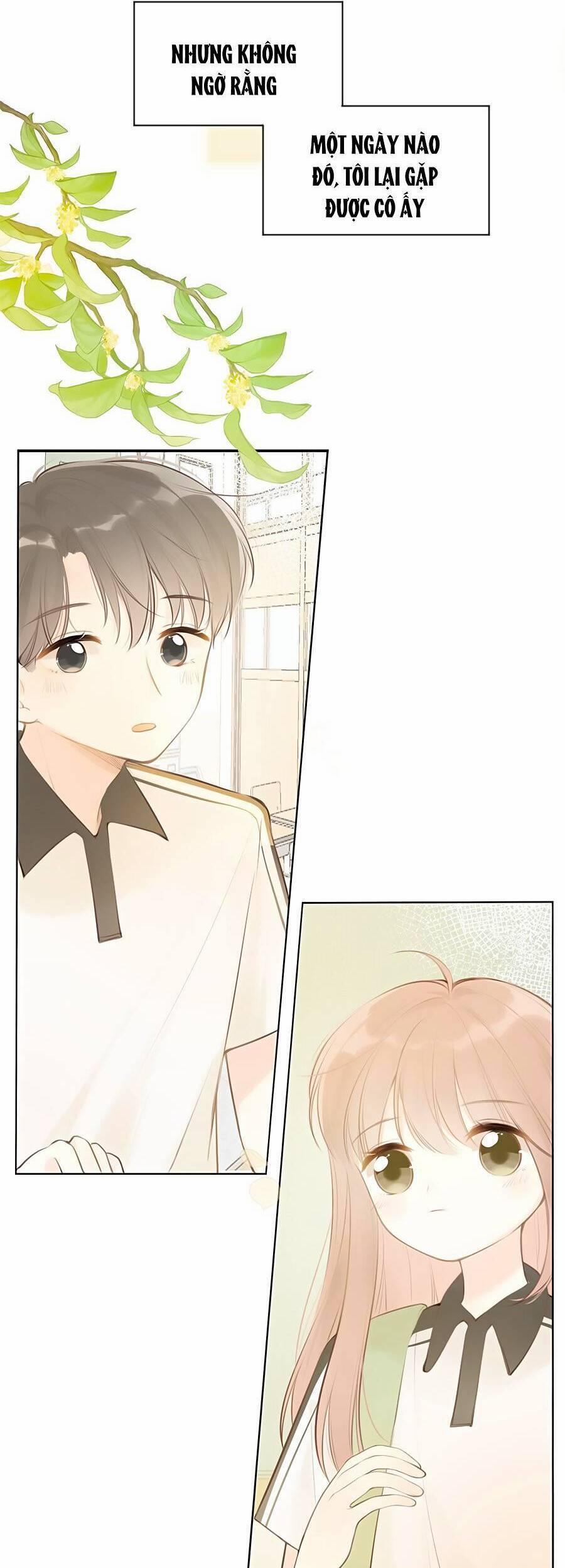 Tình Yêu Duy Nhất Của Tôi 32 trang 8