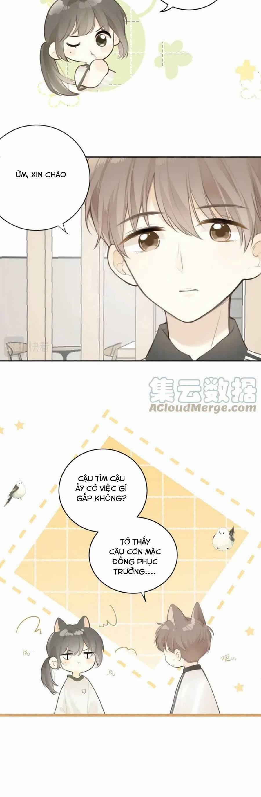 Tình Yêu Duy Nhất Của Tôi 34 trang 16