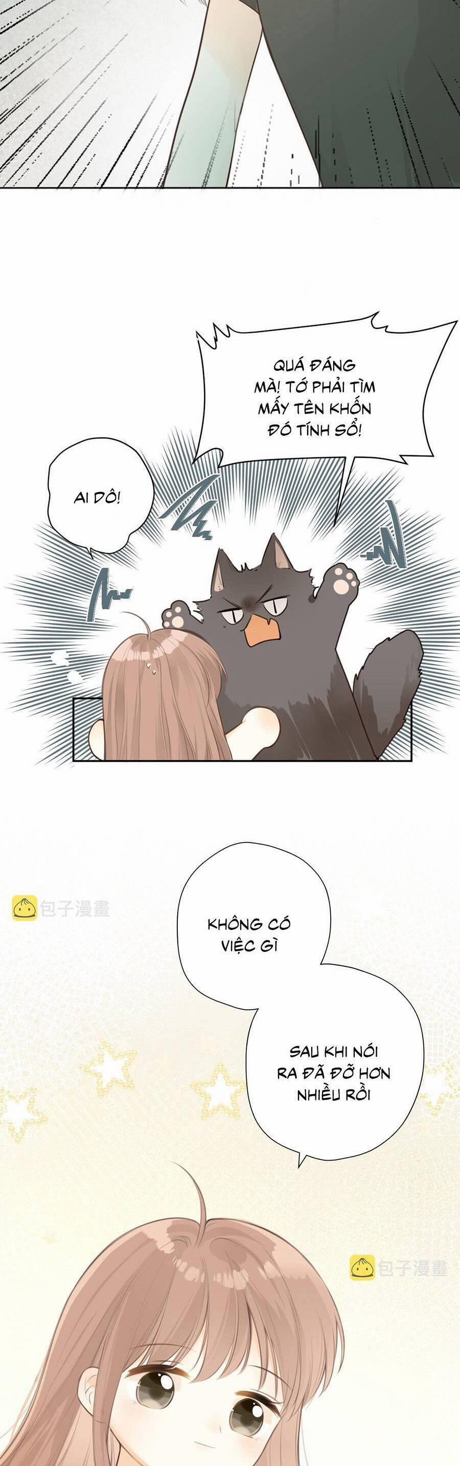 Tình Yêu Duy Nhất Của Tôi 36 trang 13