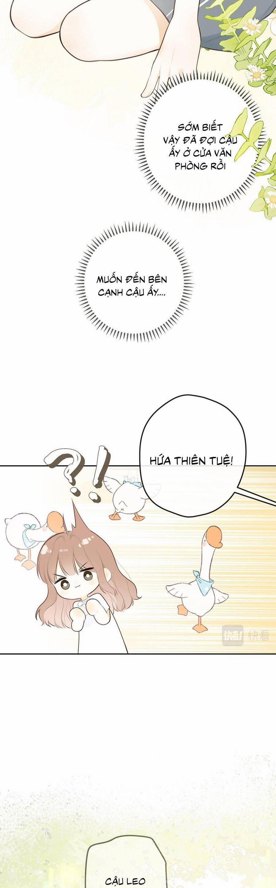 Tình Yêu Duy Nhất Của Tôi 37 trang 11