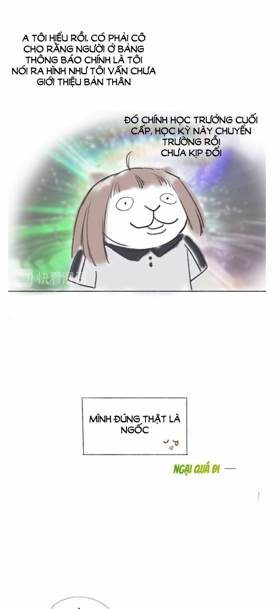 Tình Yêu Duy Nhất Của Tôi 4 trang 12