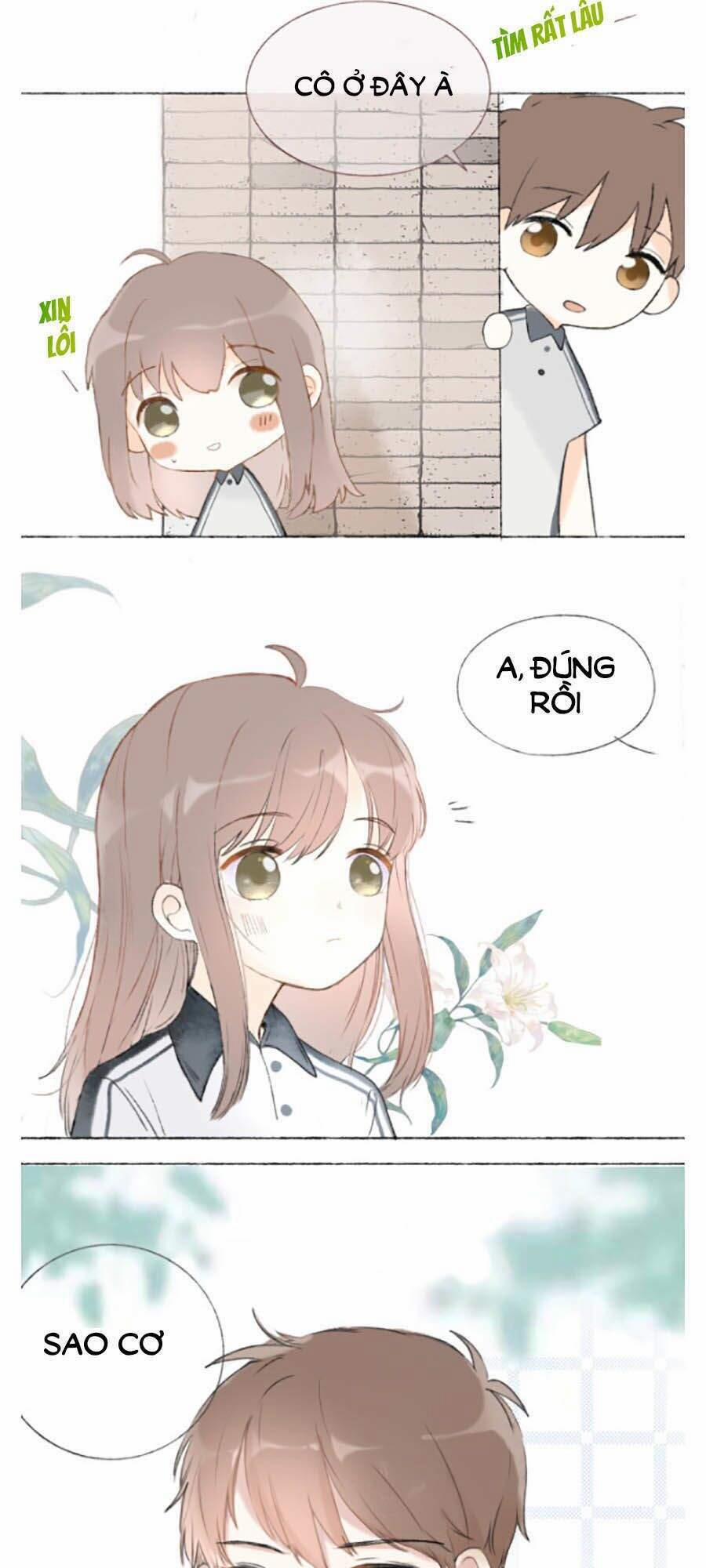 Tình Yêu Duy Nhất Của Tôi 4 trang 2