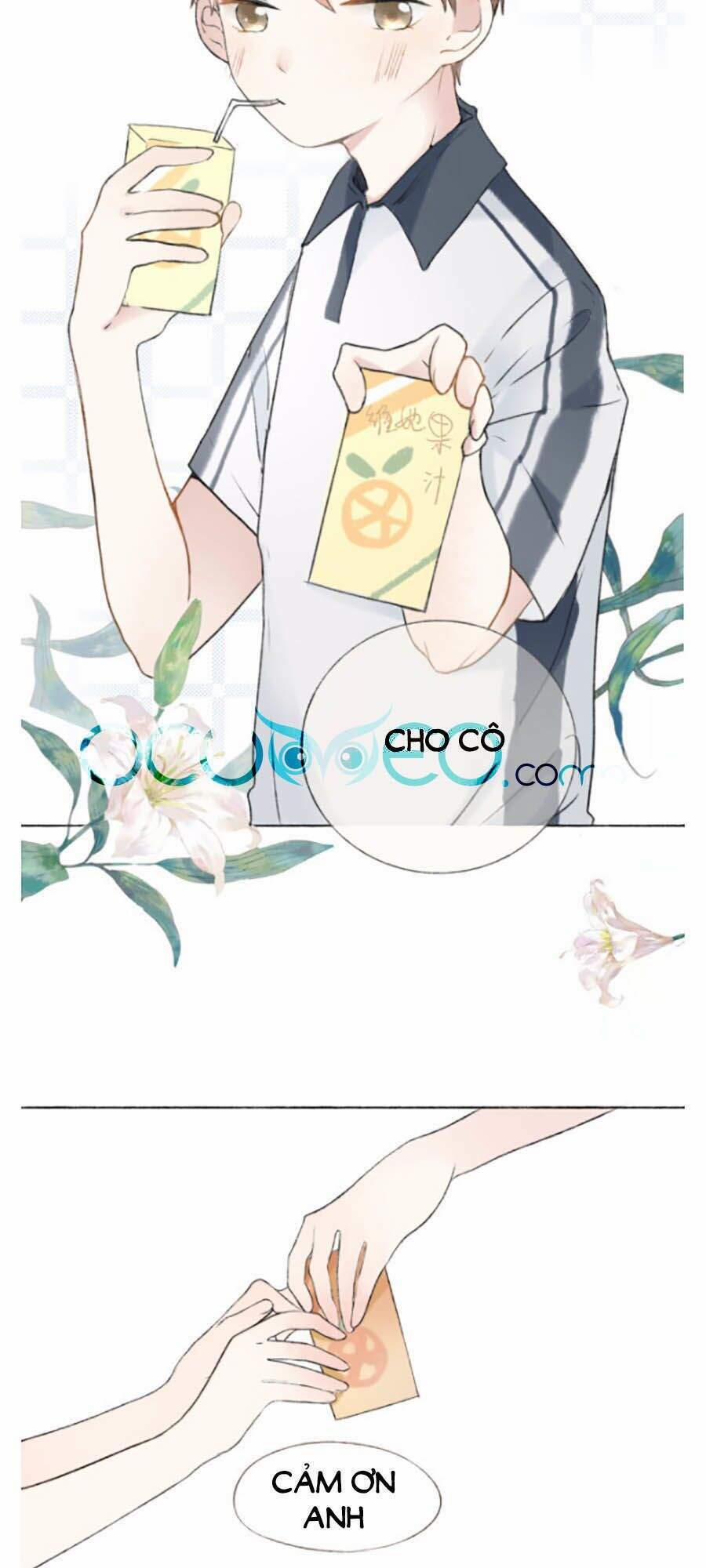 Tình Yêu Duy Nhất Của Tôi 4 trang 3