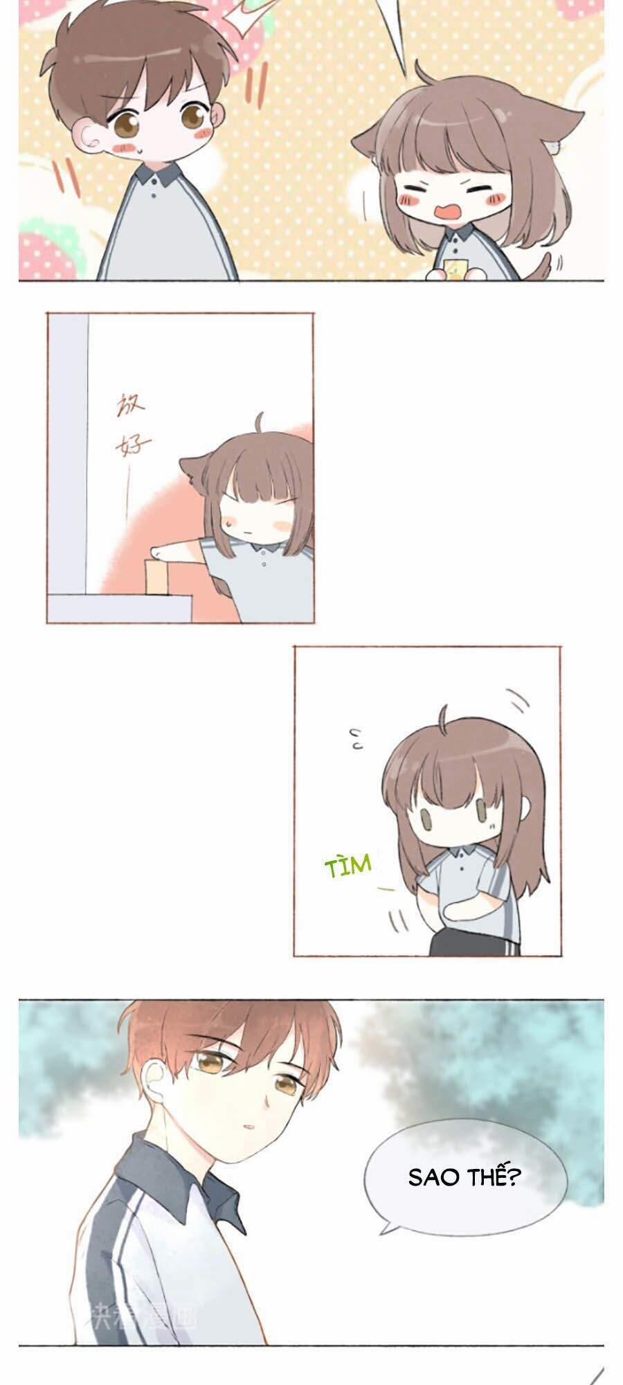 Tình Yêu Duy Nhất Của Tôi 4 trang 8