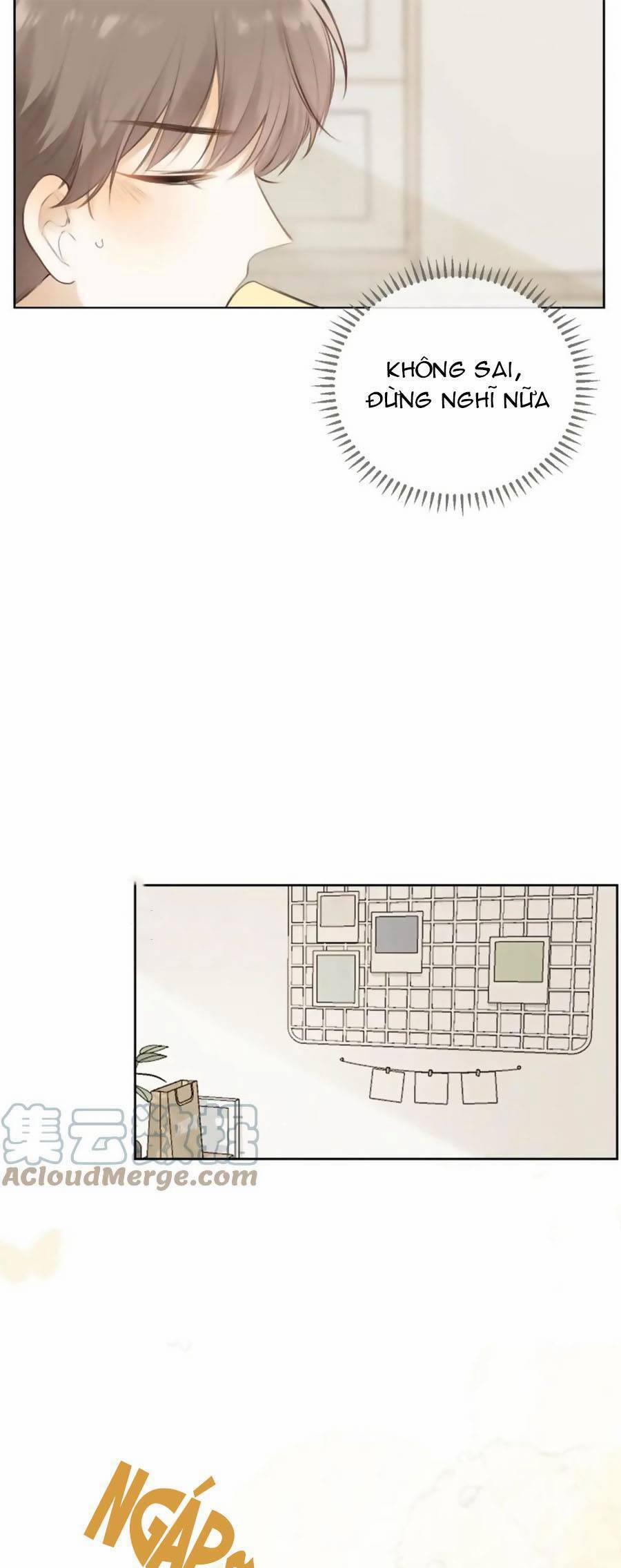 Tình Yêu Duy Nhất Của Tôi 40 trang 9