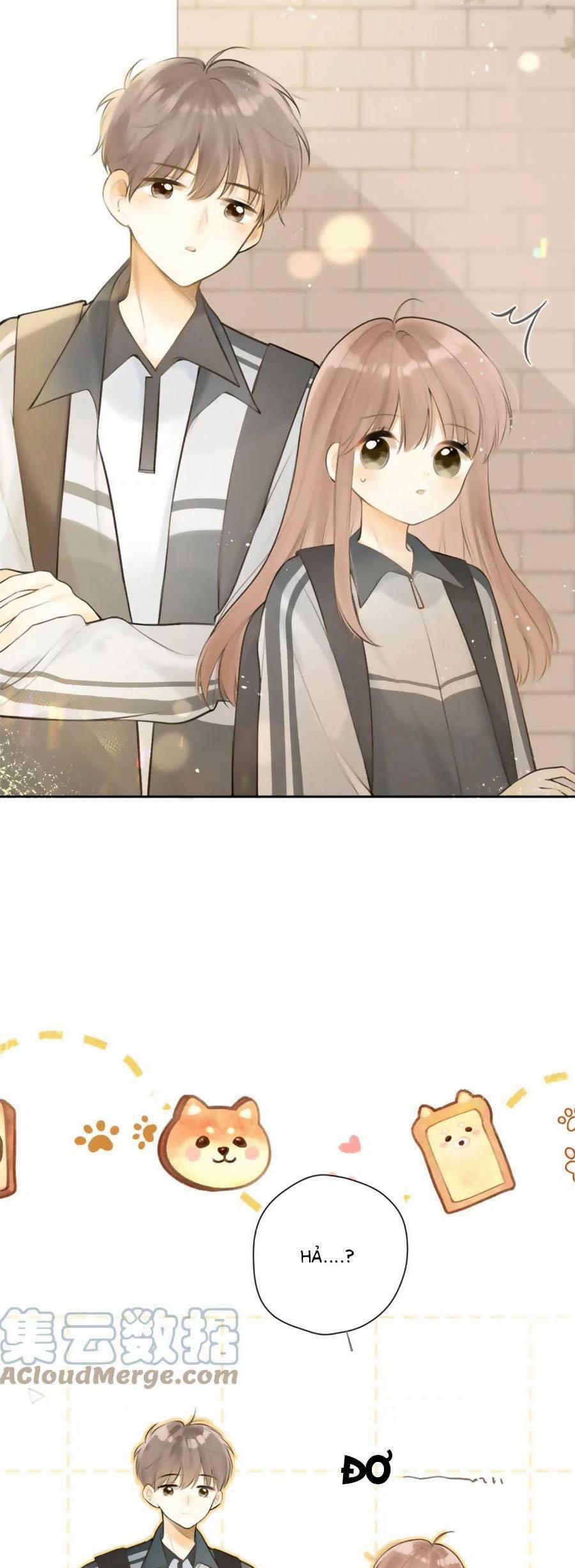 Tình Yêu Duy Nhất Của Tôi 41 trang 10