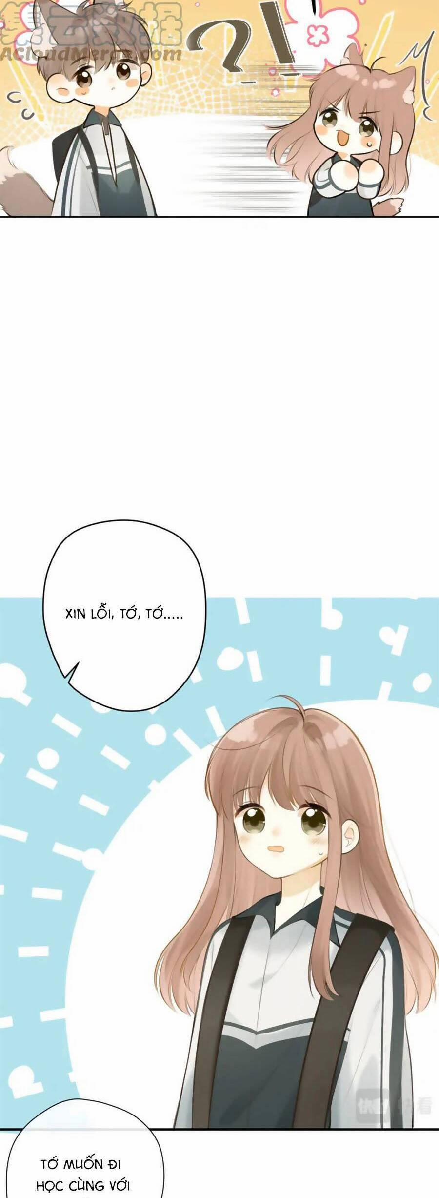 Tình Yêu Duy Nhất Của Tôi 41 trang 12