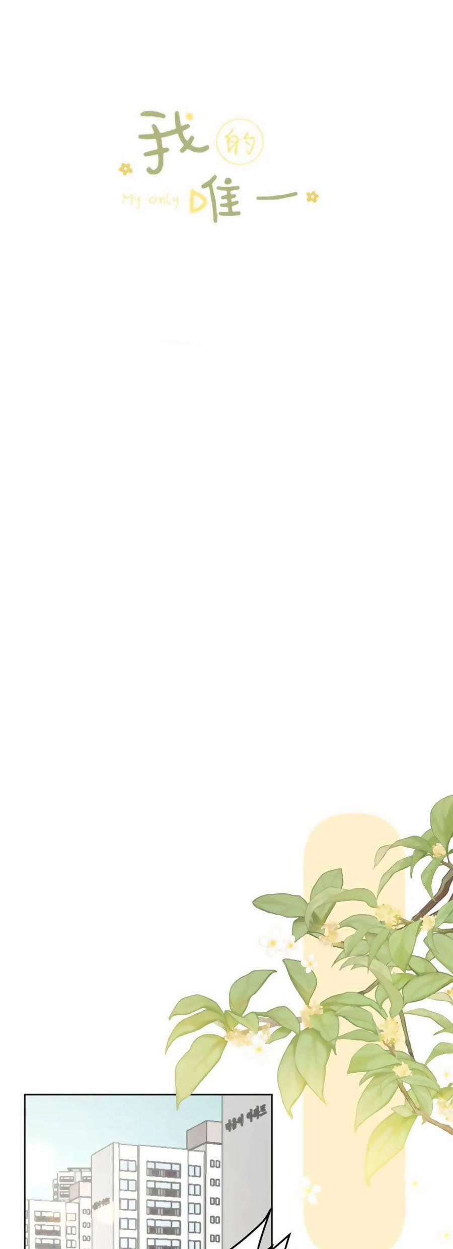 Tình Yêu Duy Nhất Của Tôi 41 trang 2