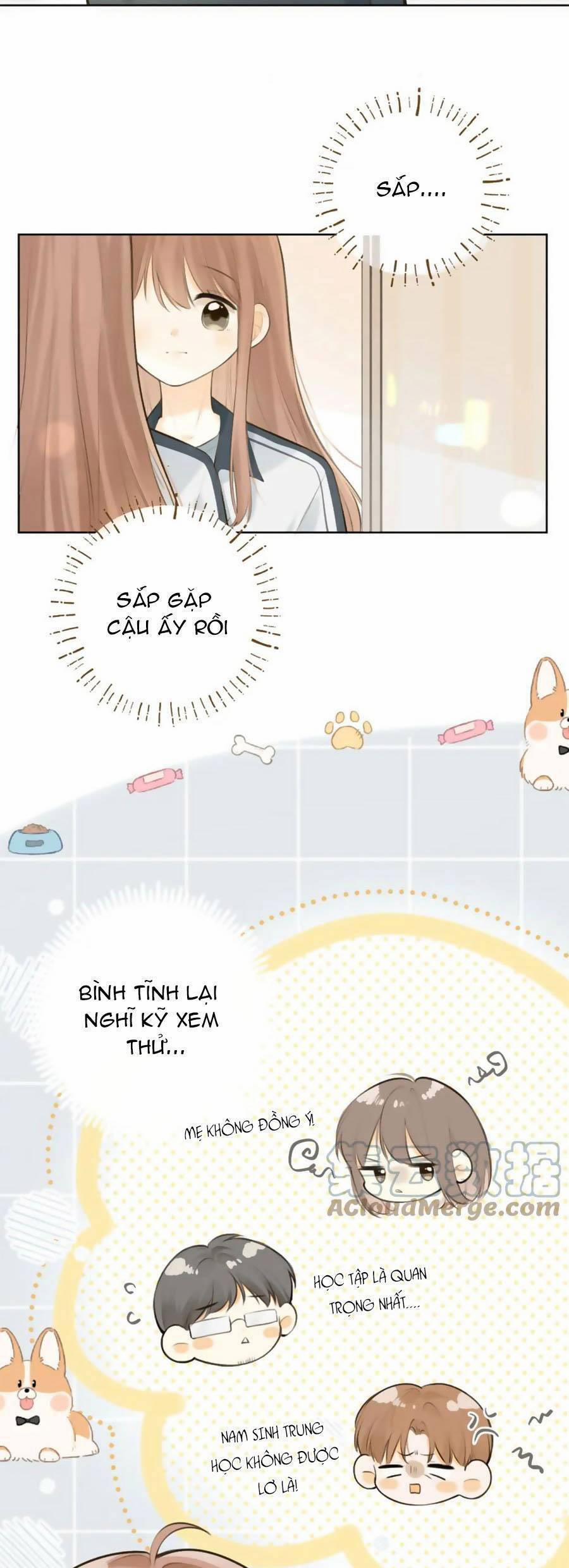 Tình Yêu Duy Nhất Của Tôi 41 trang 4