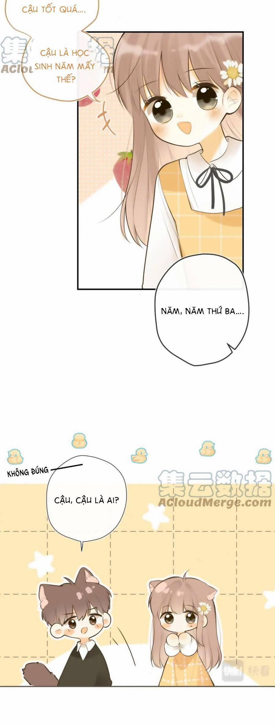 Tình Yêu Duy Nhất Của Tôi 42.5 trang 3