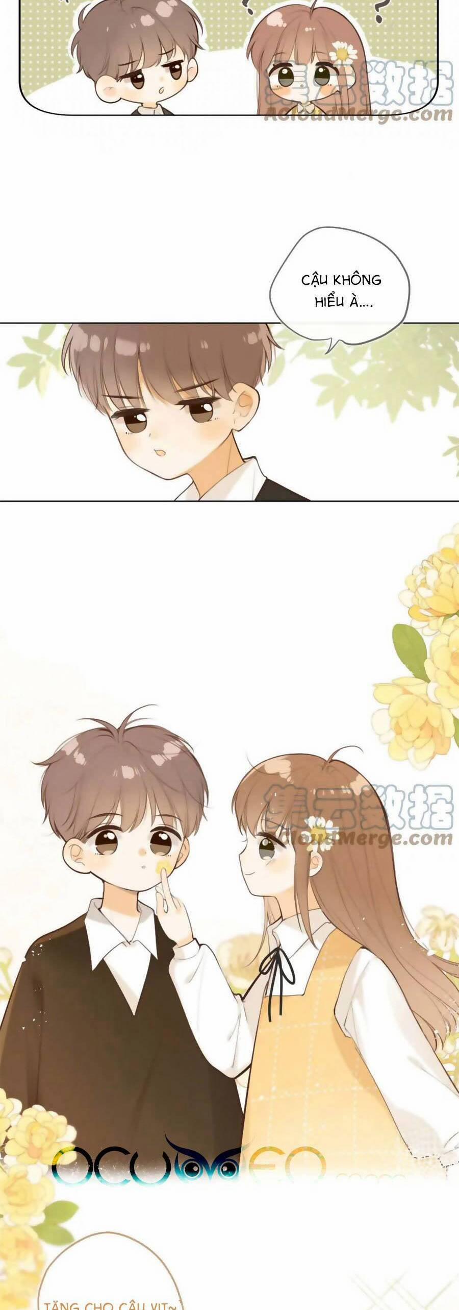 Tình Yêu Duy Nhất Của Tôi 42.5 trang 5