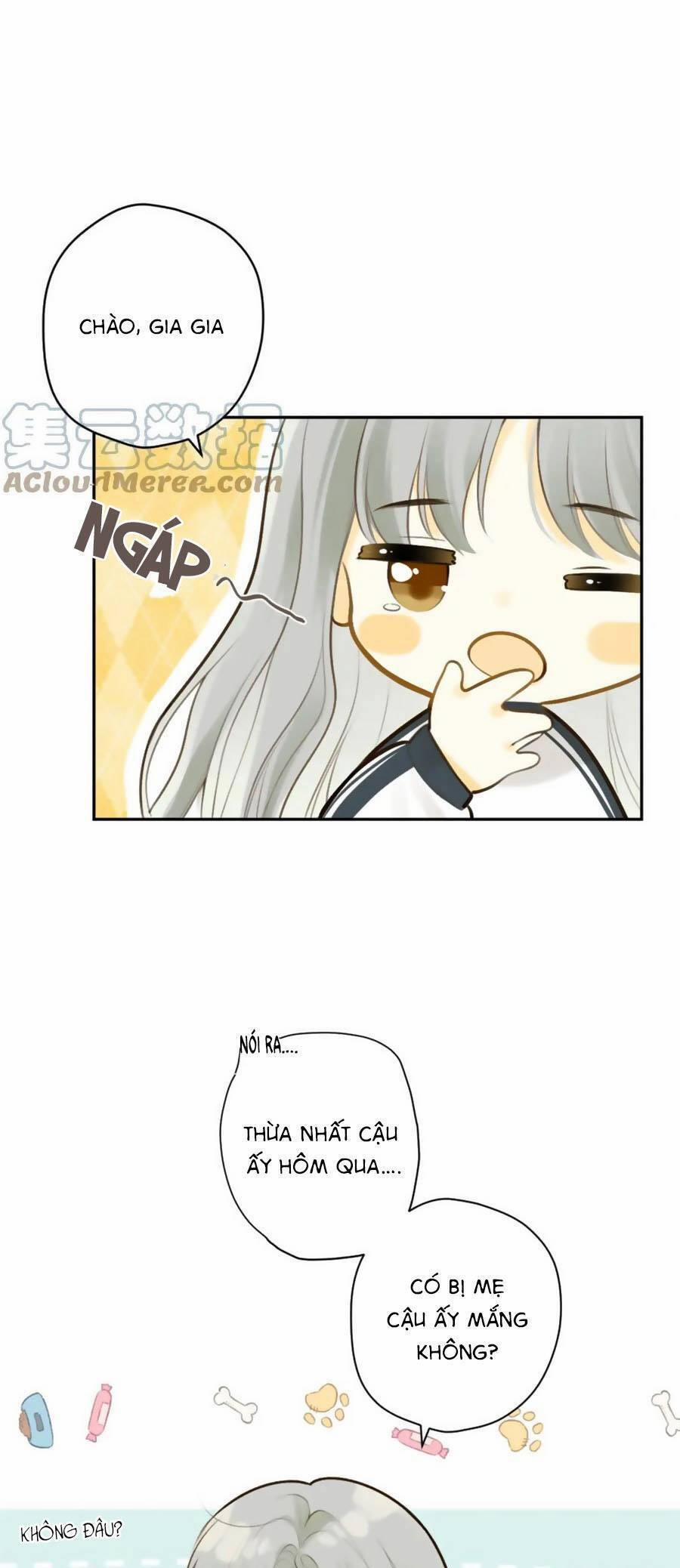 Tình Yêu Duy Nhất Của Tôi 42 trang 1