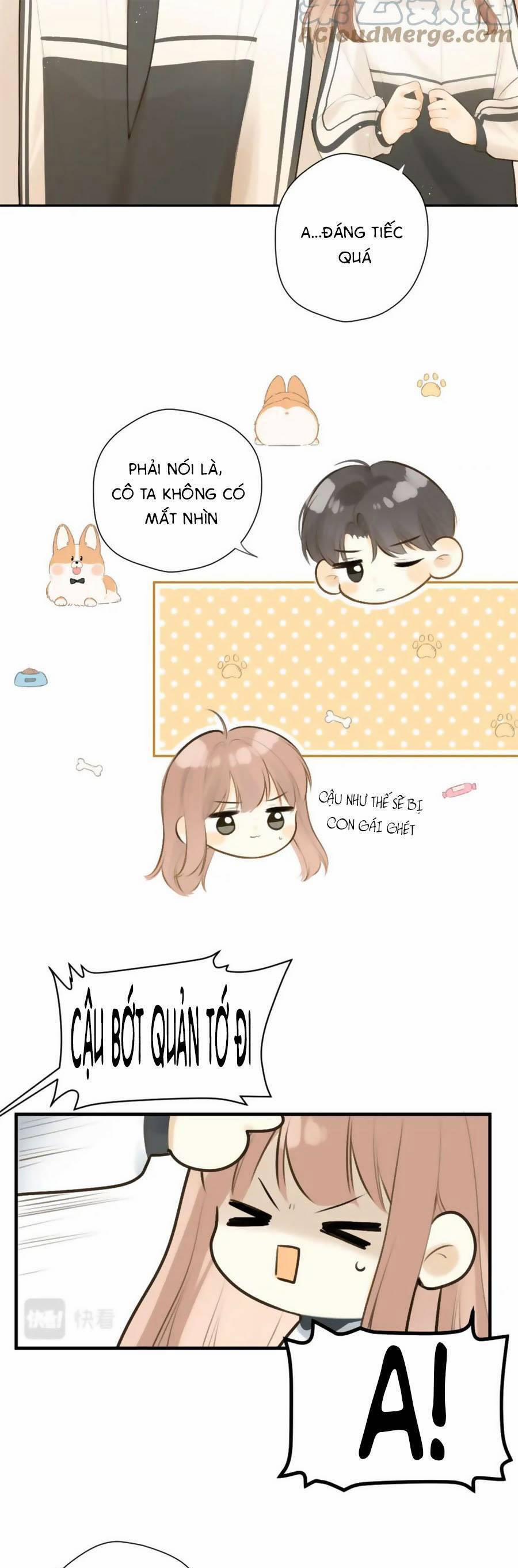 Tình Yêu Duy Nhất Của Tôi 42 trang 12