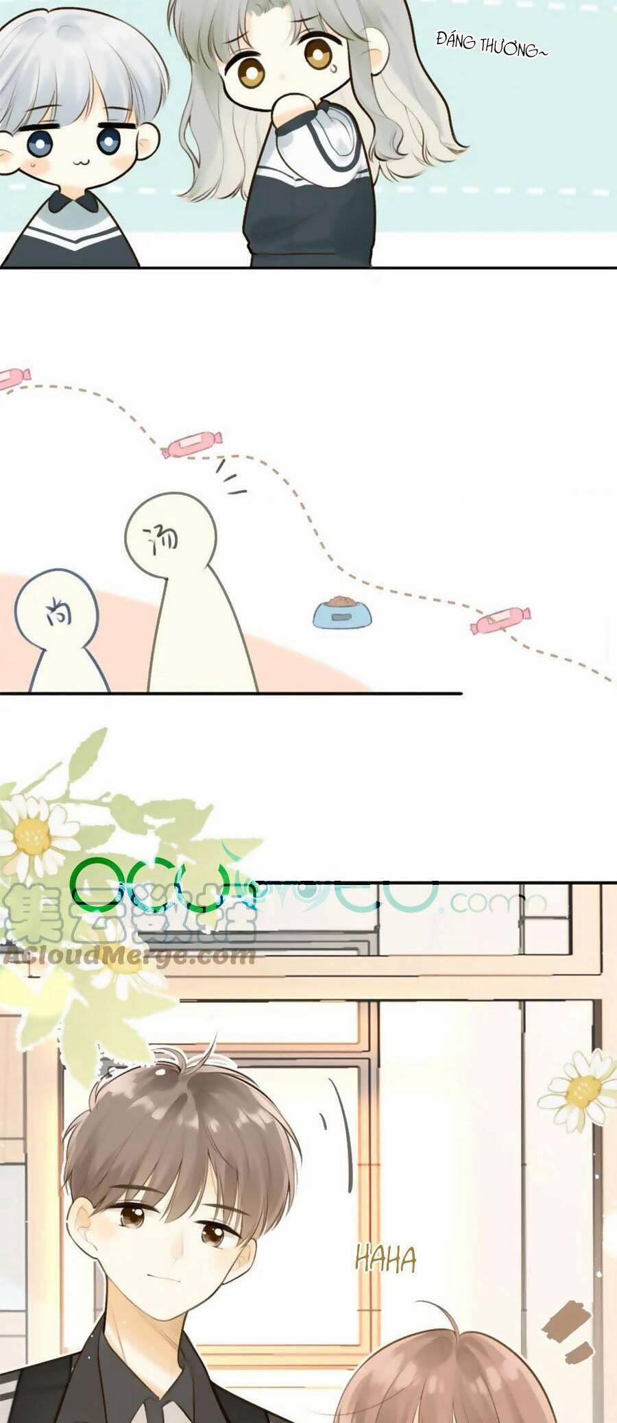 Tình Yêu Duy Nhất Của Tôi 42 trang 2