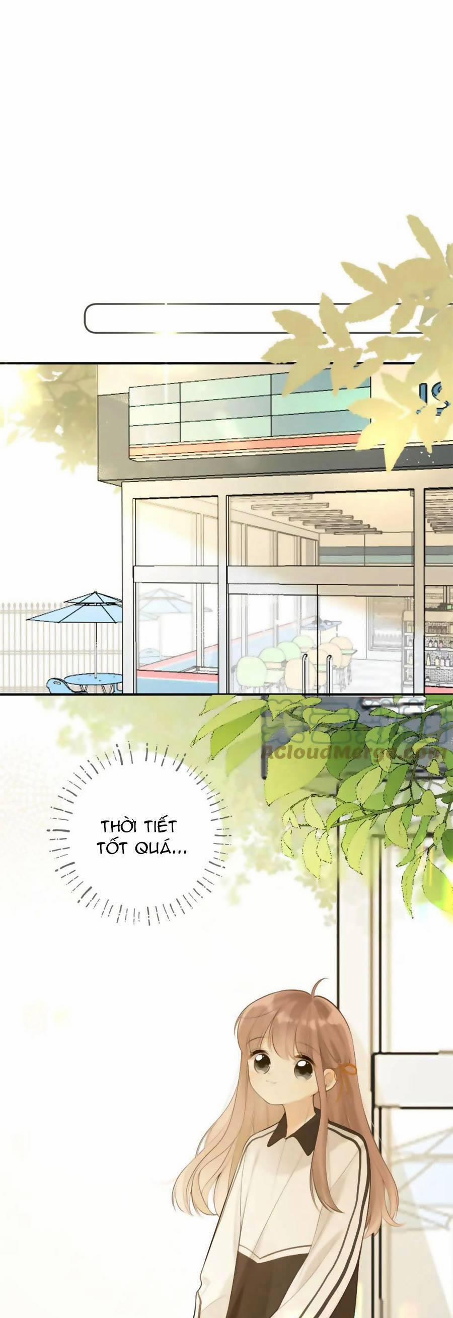 Tình Yêu Duy Nhất Của Tôi 43 trang 1