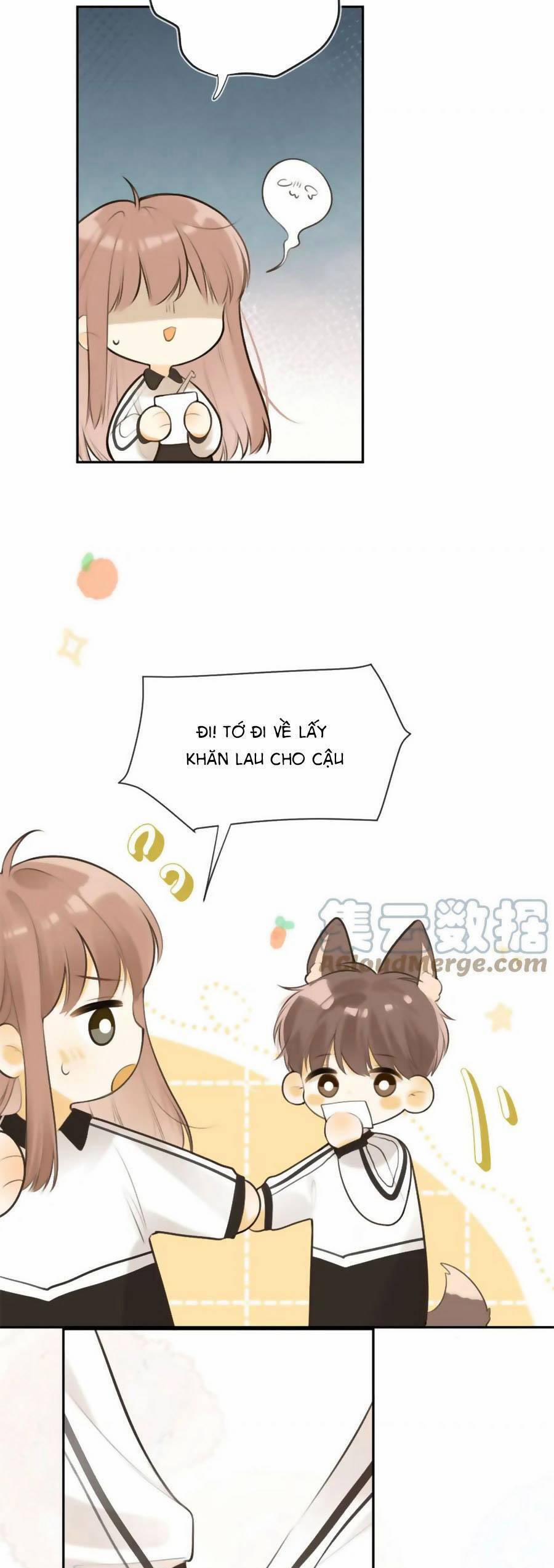 Tình Yêu Duy Nhất Của Tôi 43 trang 12