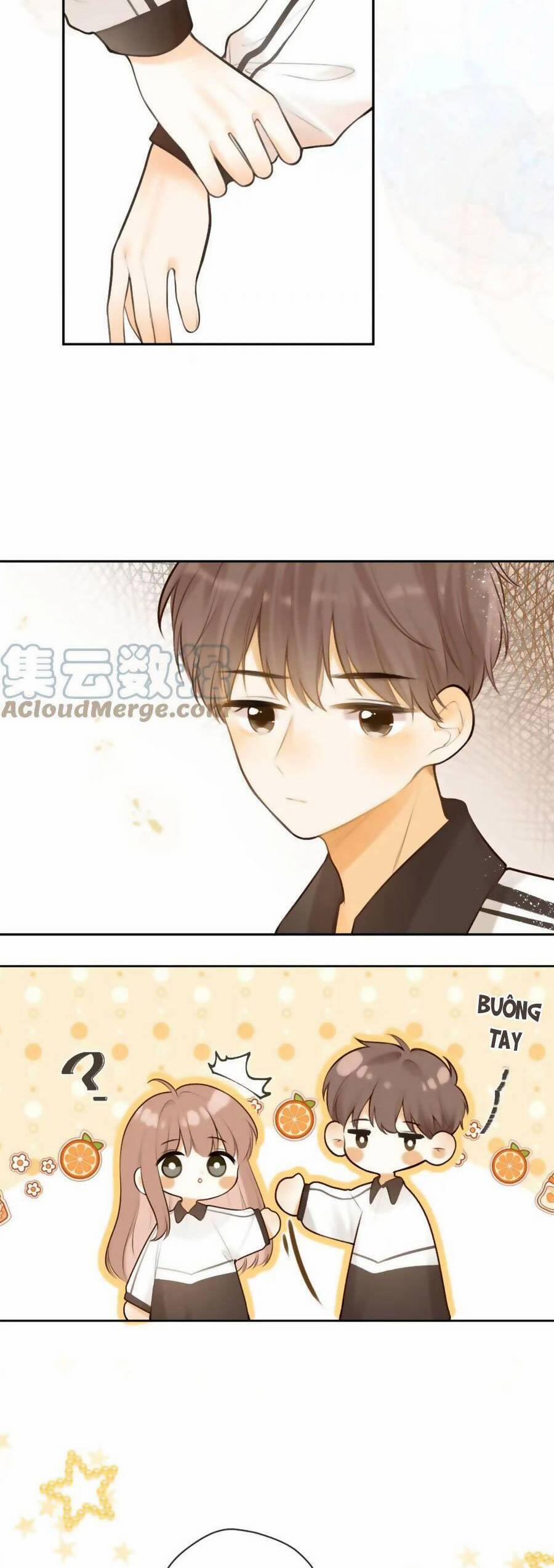 Tình Yêu Duy Nhất Của Tôi 43 trang 13