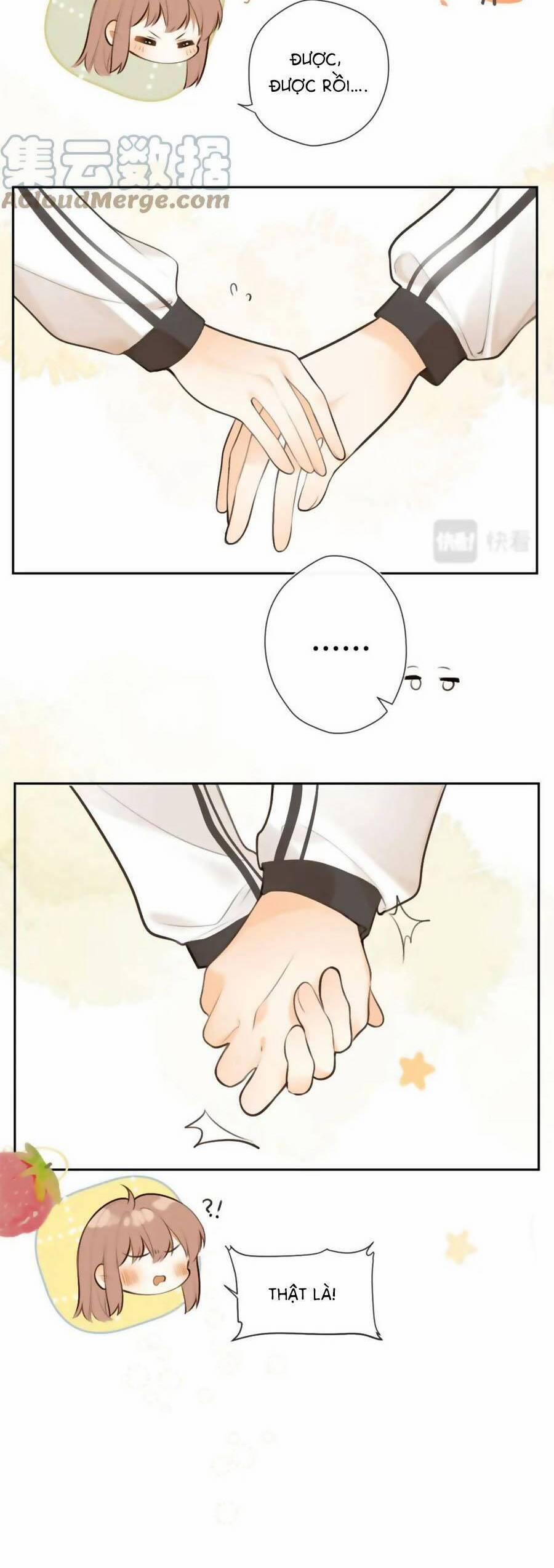 Tình Yêu Duy Nhất Của Tôi 43 trang 15