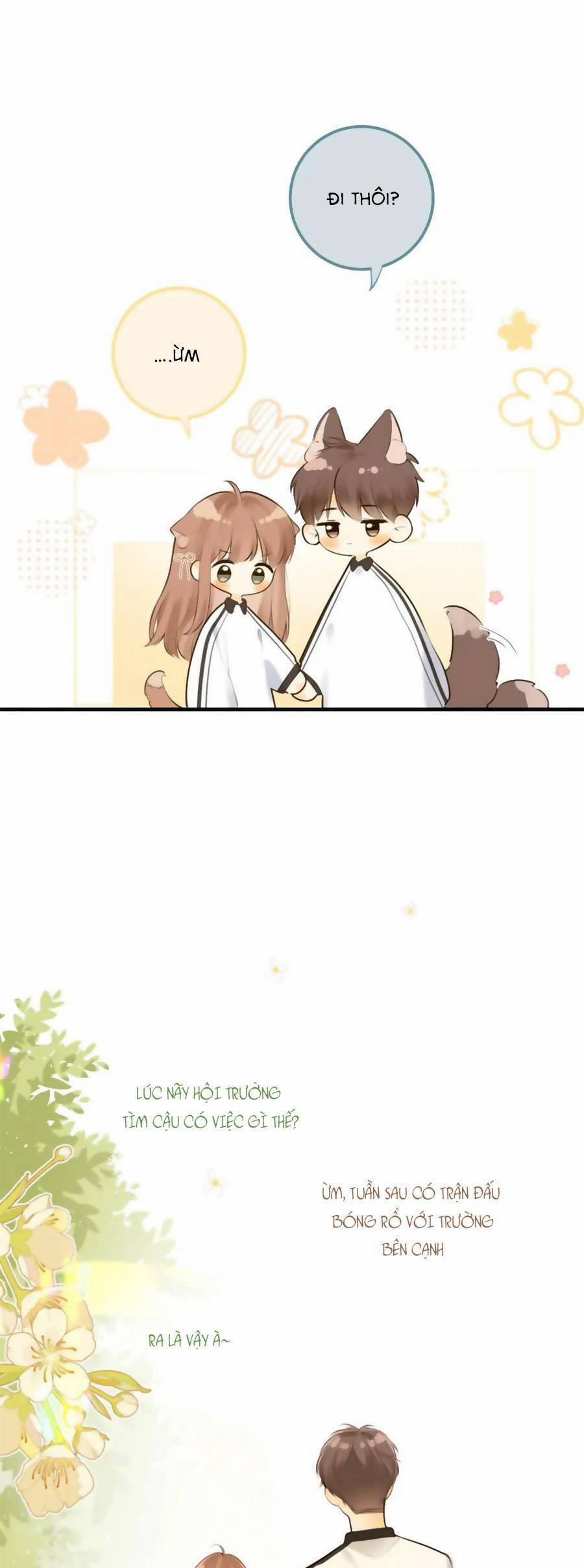 Tình Yêu Duy Nhất Của Tôi 43 trang 16