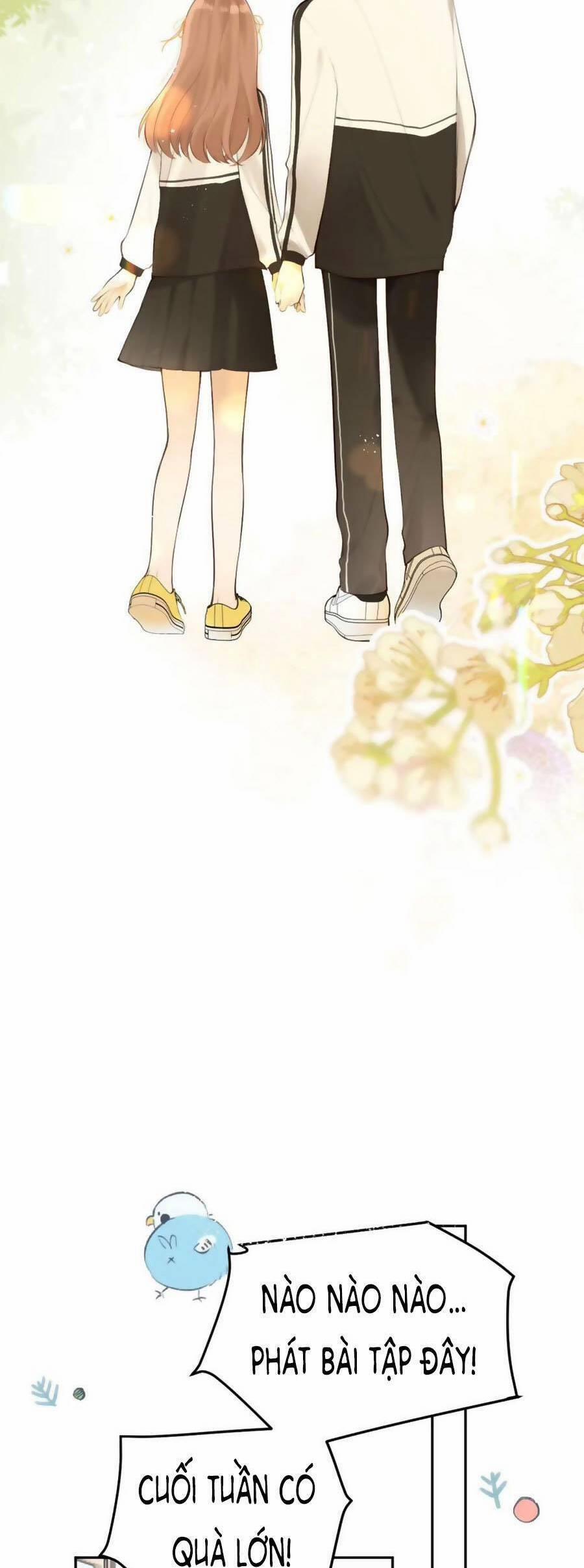 Tình Yêu Duy Nhất Của Tôi 43 trang 17