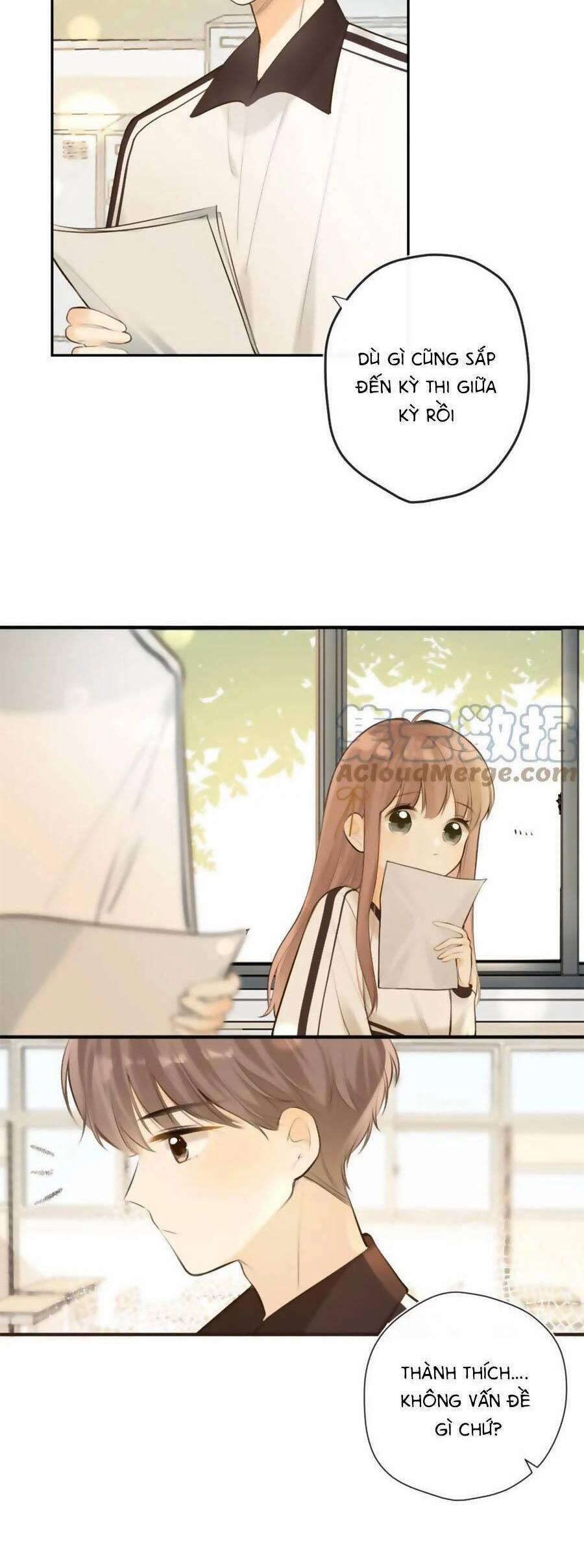 Tình Yêu Duy Nhất Của Tôi 43 trang 19