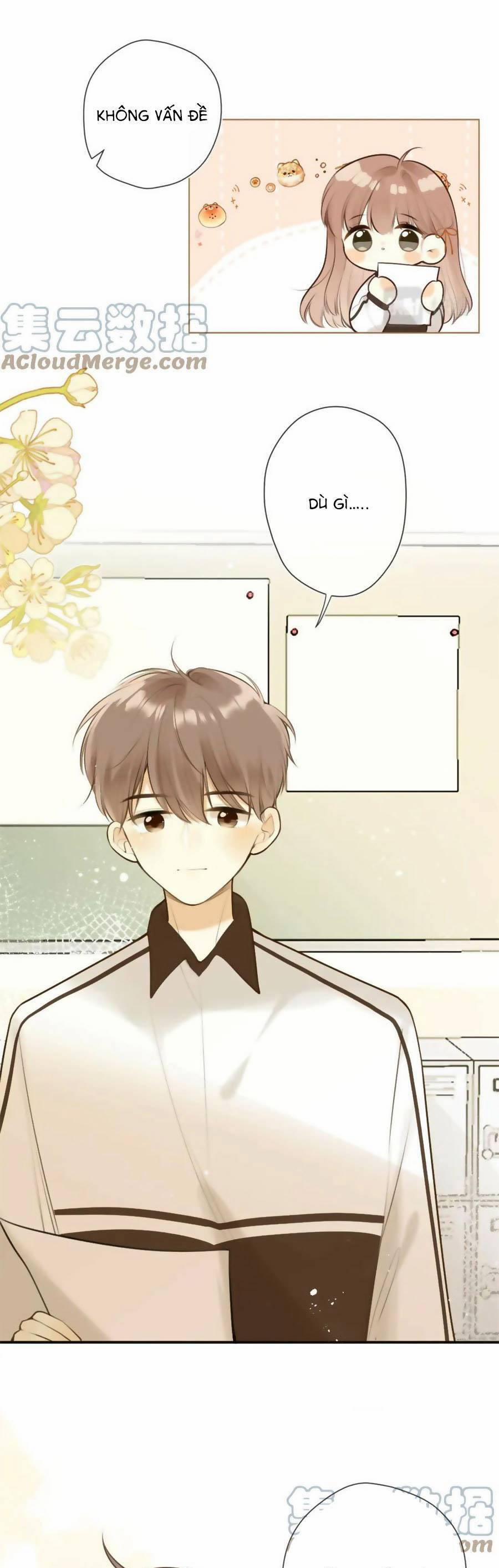 Tình Yêu Duy Nhất Của Tôi 43 trang 20