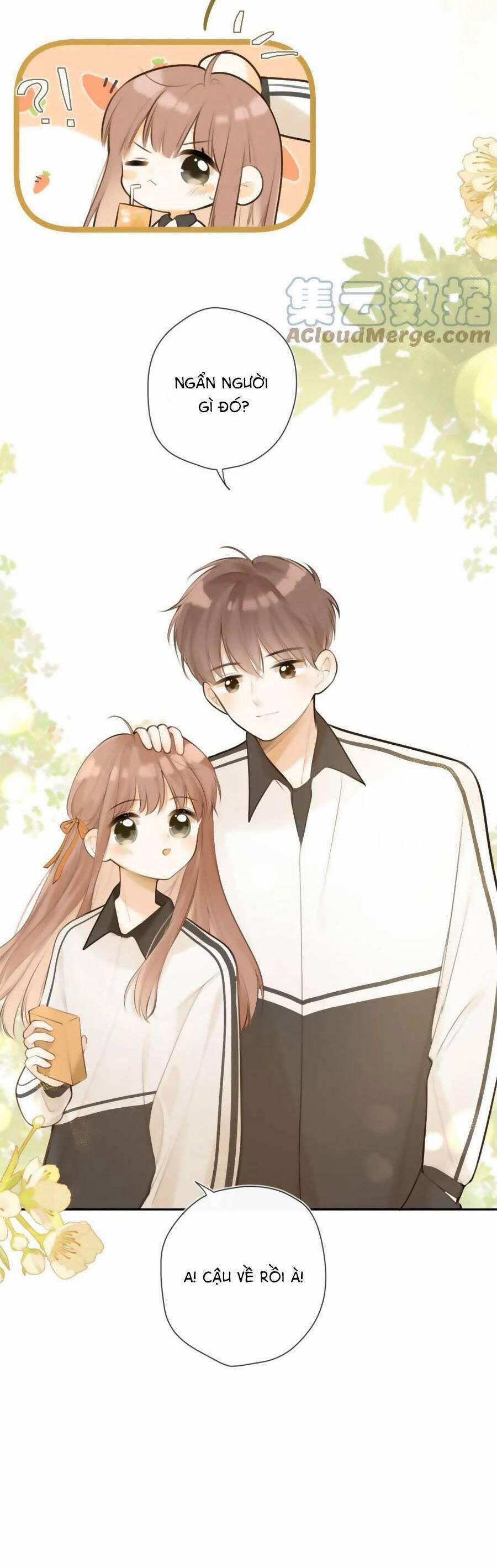 Tình Yêu Duy Nhất Của Tôi 43 trang 6