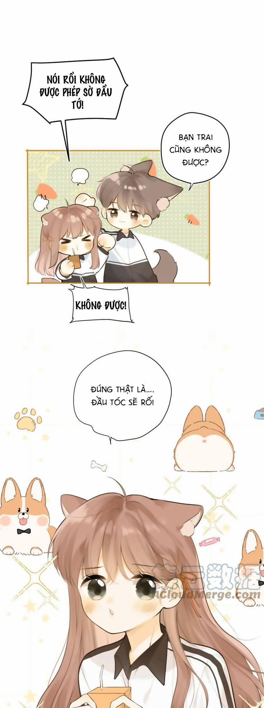 Tình Yêu Duy Nhất Của Tôi 43 trang 7